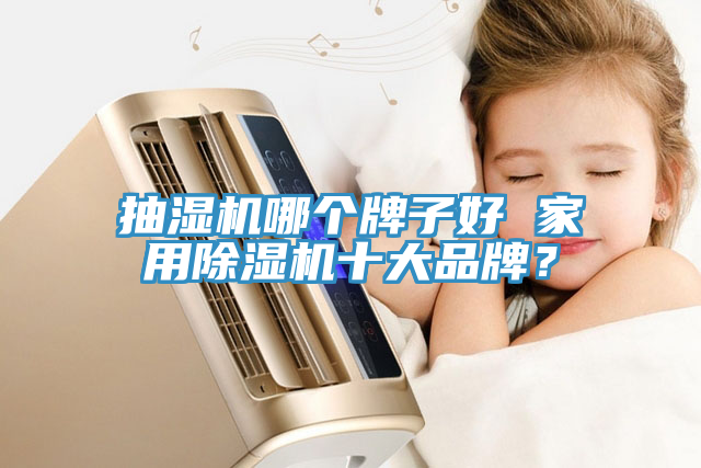抽湿机哪个牌子好 家用免费看操逼软件十大品牌？