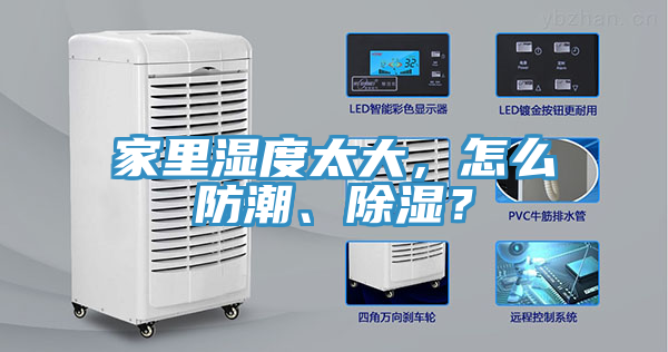 家里湿度太大，怎么防潮、除湿？