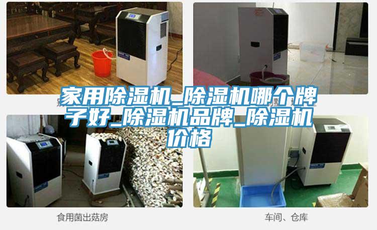 家用免费看操逼软件_免费看操逼软件哪个牌子好_免费看操逼软件品牌_免费看操逼软件价格
