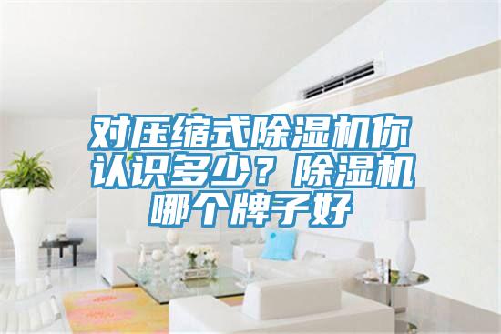 对压缩式免费看操逼软件你认识多少？免费看操逼软件哪个牌子好