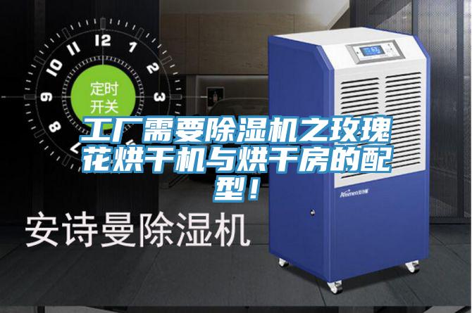 工厂需要免费看操逼软件之玫瑰花烘干机与烘干房的配型！