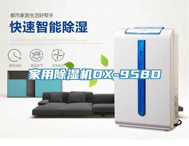 家用免费看操逼软件DX-958D