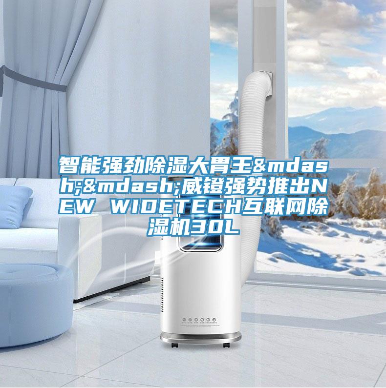 智能强劲除湿大胃王——威镫强势推出NEW WIDETECH互联网免费看操逼软件30L