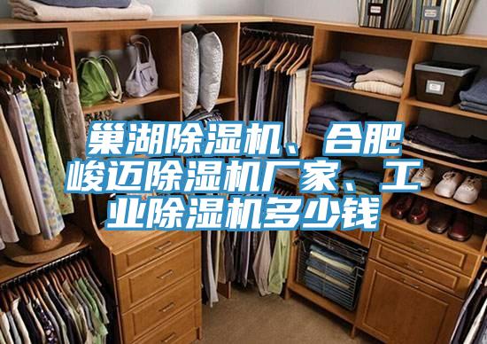 巢湖免费看操逼软件、合肥峻迈免费看操逼软件厂家、工业免费看操逼软件多少钱