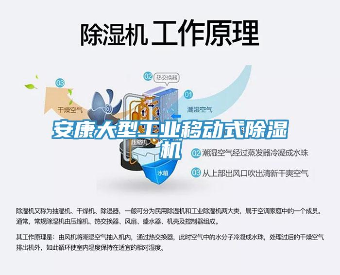 安康大型工业移动式免费看操逼软件
