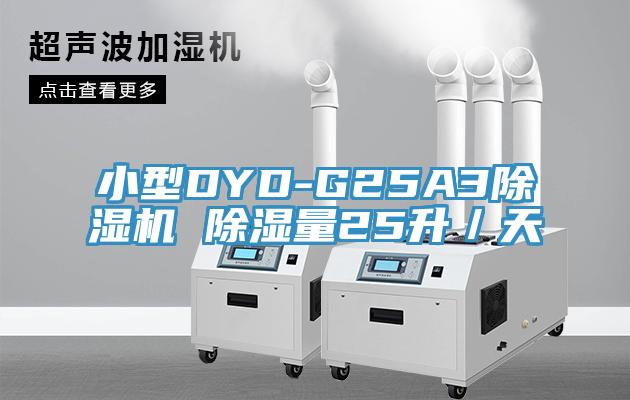 小型DYD-G25A3免费看操逼软件 除湿量25升／天
