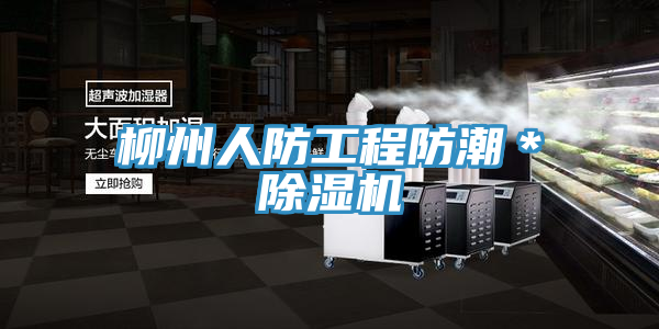 柳州人防工程防潮＊免费看操逼软件