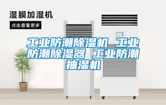 工业防潮免费看操逼软件 工业防潮除湿器 工业防潮抽湿机