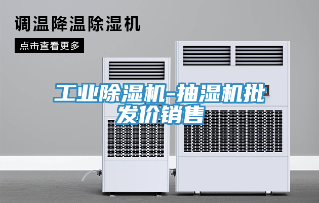工业免费看操逼软件-抽湿机批发价销售