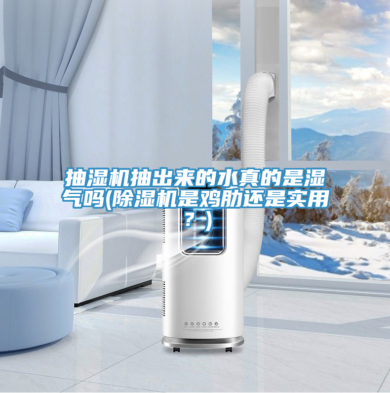 抽湿机抽出来的水真的是湿气吗(免费看操逼软件是鸡肋还是实用？)