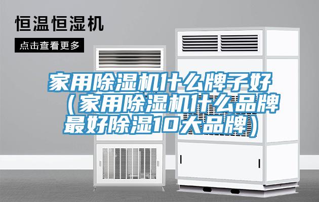 家用免费看操逼软件什么牌子好（家用免费看操逼软件什么品牌最好除湿10大品牌）