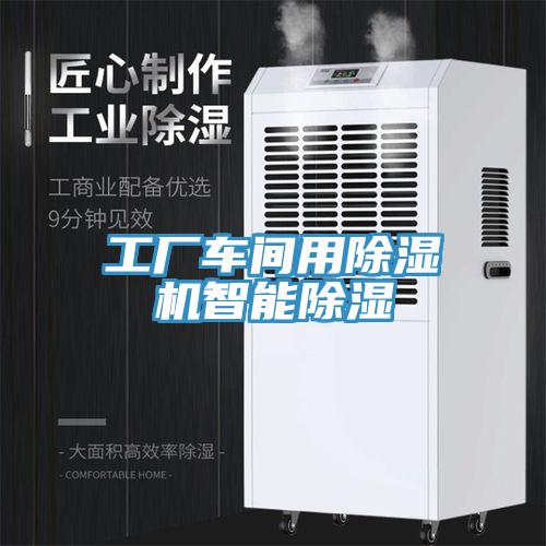 工厂车间用免费看操逼软件智能除湿