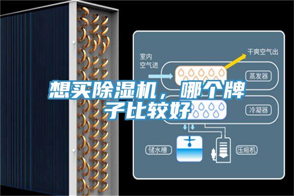 想买免费看操逼软件，哪个牌子比较好