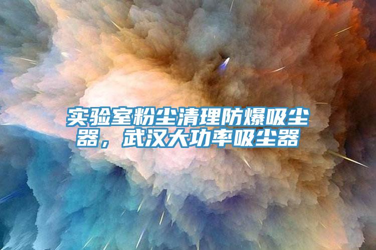 实验室粉尘清理防爆吸尘器，武汉大功率吸尘器