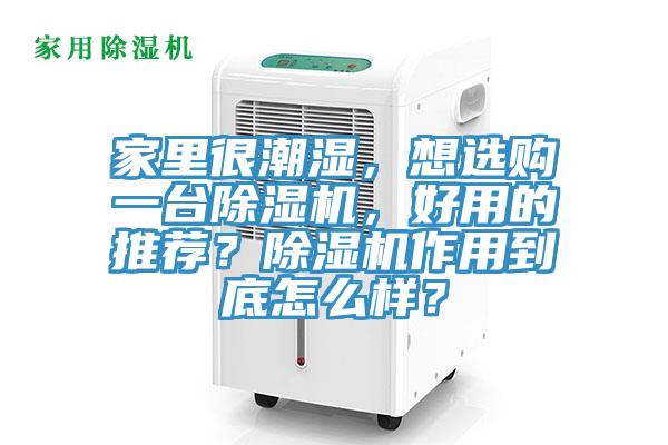 家里很潮湿，想选购一台免费看操逼软件，好用的推荐？免费看操逼软件作用到底怎么样？