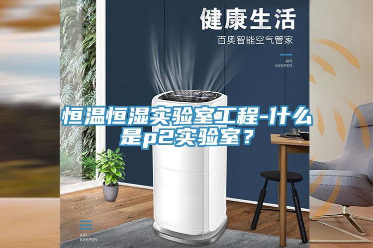 恒温恒湿实验室工程-什么是p2实验室？