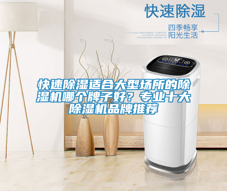 快速除湿适合大型场所的免费看操逼软件哪个牌子好？专业十大免费看操逼软件品牌推荐