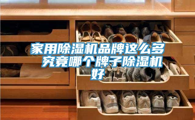 家用免费看操逼软件品牌这么多 究竟哪个牌子免费看操逼软件好