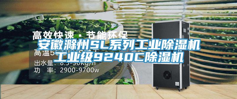 安徽滁州SL系列工业免费看操逼软件工业级9240C免费看操逼软件