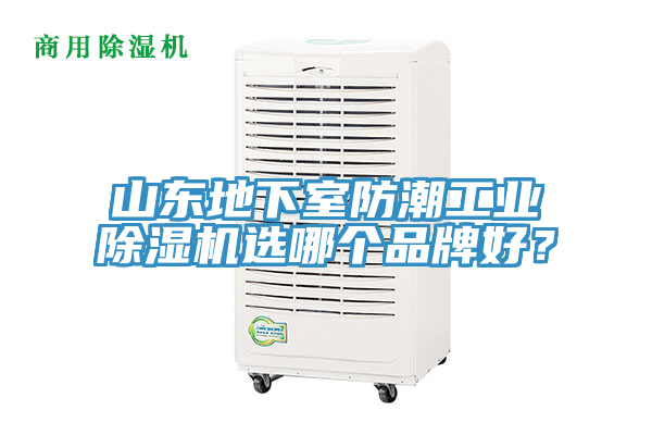 山东地下室防潮工业免费看操逼软件选哪个品牌好？