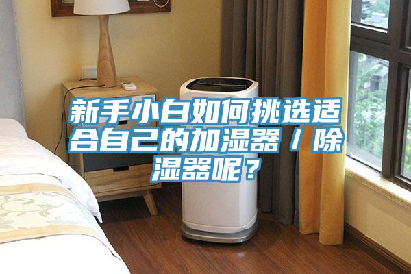 新手小白如何挑选适合自己的加湿器／除湿器呢？