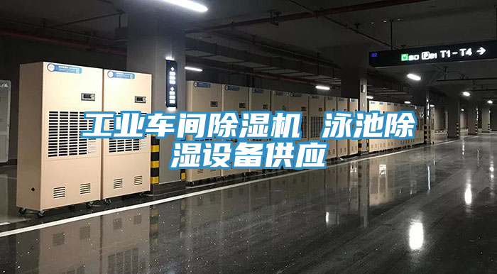 工业车间免费看操逼软件 泳池除湿设备供应