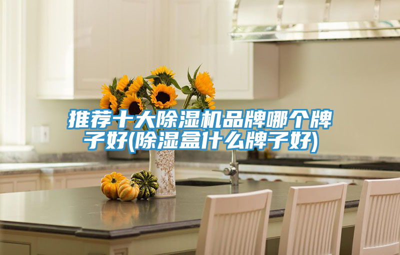 推荐十大免费看操逼软件品牌哪个牌子好(除湿盒什么牌子好)