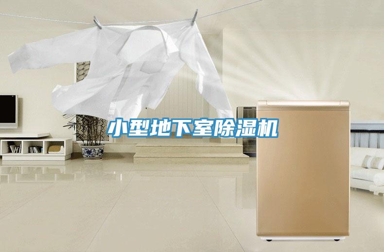 小型地下室免费看操逼软件
