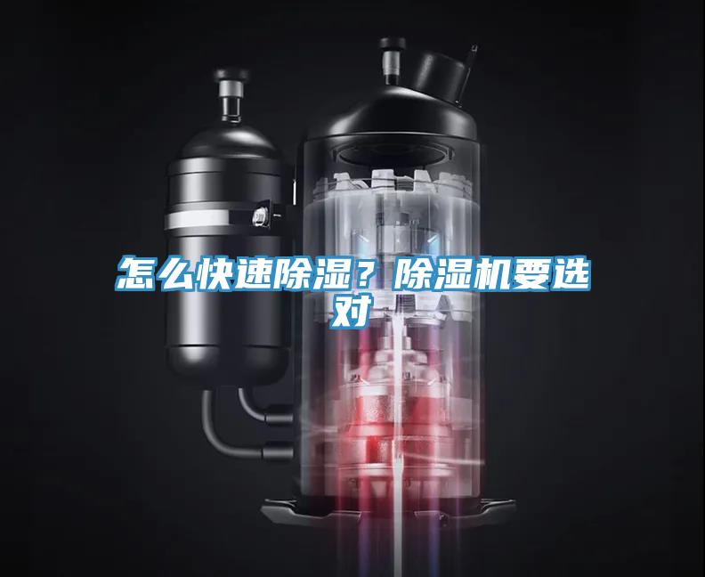 怎么快速除湿？免费看操逼软件要选对