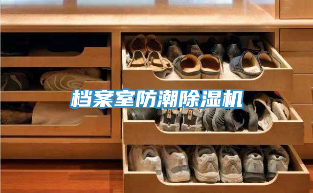 档案室防潮免费看操逼软件