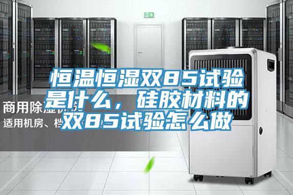 恒温恒湿双85试验是什么，硅胶材料的双85试验怎么做