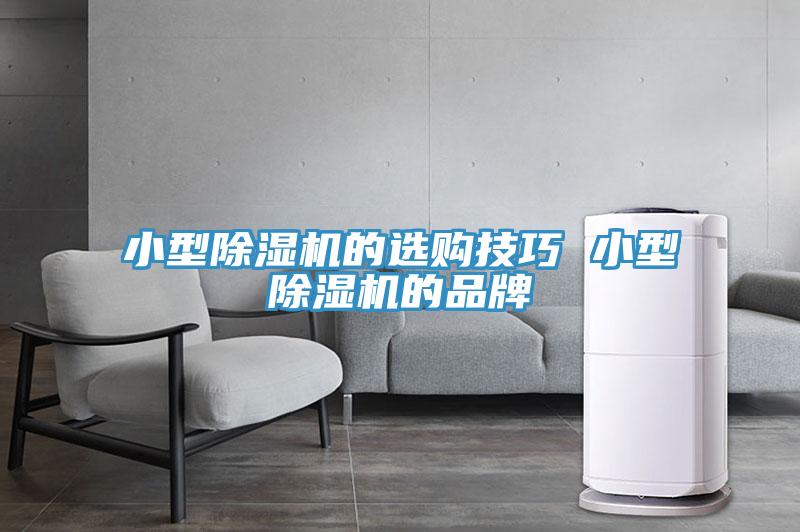 小型免费看操逼软件的选购技巧 小型免费看操逼软件的品牌