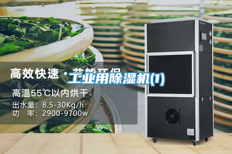 工业用免费看操逼软件(1)