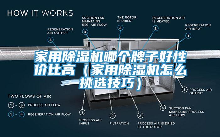 家用免费看操逼软件哪个牌子好性价比高（家用免费看操逼软件怎么挑选技巧）