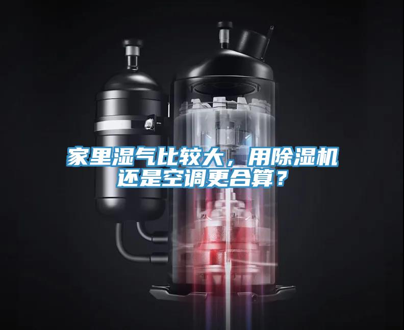 家里湿气比较大，用免费看操逼软件还是空调更合算？