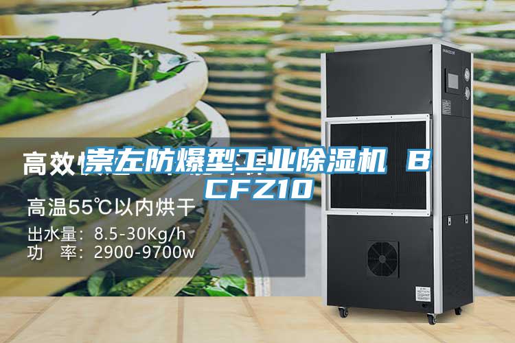 崇左防爆型工业免费看操逼软件 BCFZ10