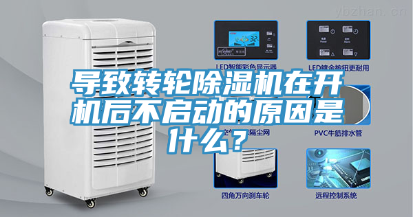 导致转轮免费看操逼软件在开机后不启动的原因是什么？