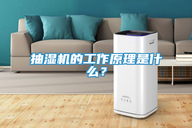 抽湿机的工作原理是什么？