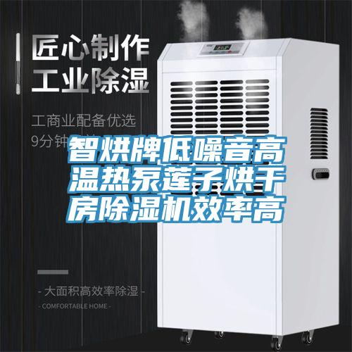 智烘牌低噪音高温热泵莲子烘干房免费看操逼软件效率高