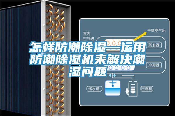 怎样防潮除湿—运用防潮免费看操逼软件来解决潮湿问题