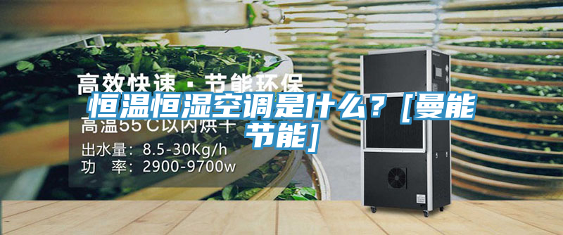 恒温恒湿空调是什么？[曼能节能]