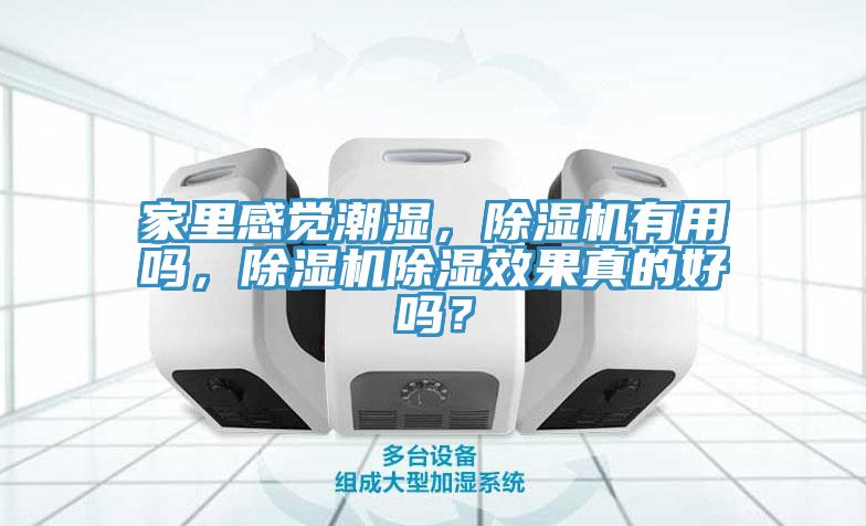 家里感觉潮湿，免费看操逼软件有用吗，免费看操逼软件除湿效果真的好吗？