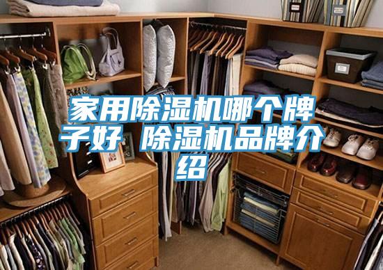 家用免费看操逼软件哪个牌子好 免费看操逼软件品牌介绍