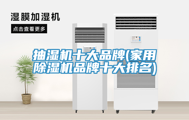抽湿机十大品牌(家用免费看操逼软件品牌十大排名)