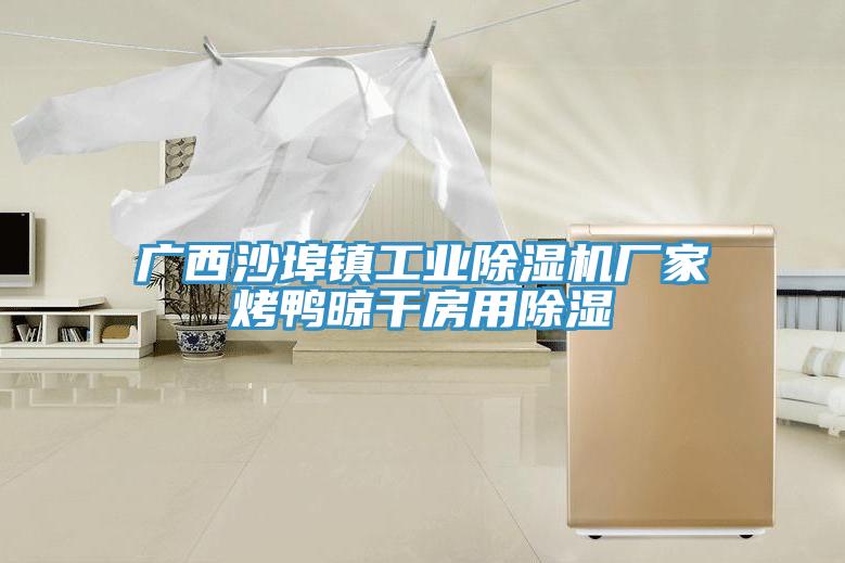 广西沙埠镇工业免费看操逼软件厂家烤鸭晾干房用除湿