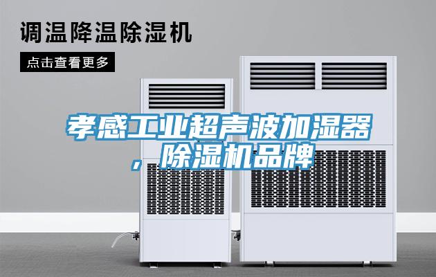 孝感工业超声波加湿器，免费看操逼软件品牌