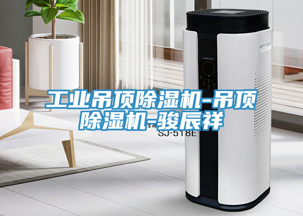 工业吊顶免费看操逼软件-吊顶免费看操逼软件-骏辰祥