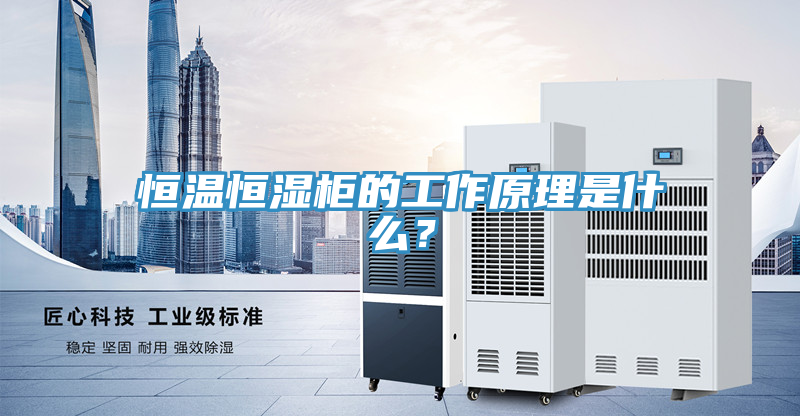恒温恒湿柜的工作原理是什么？