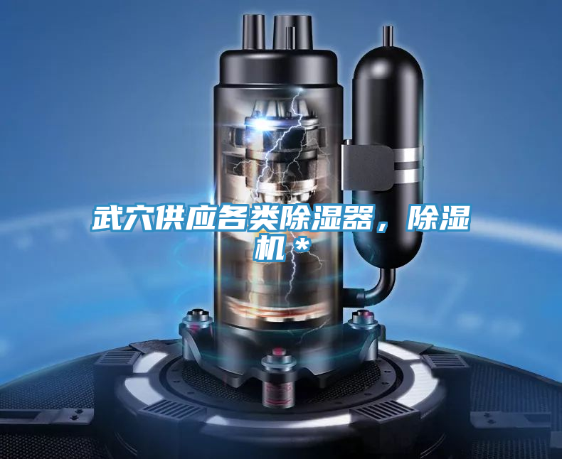 武穴供应各类除湿器，免费看操逼软件＊