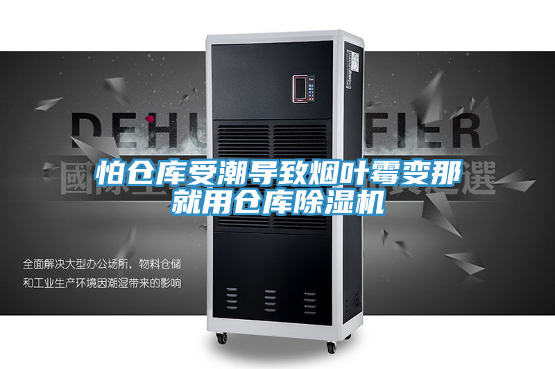 怕仓库受潮导致烟叶霉变那就用仓库免费看操逼软件